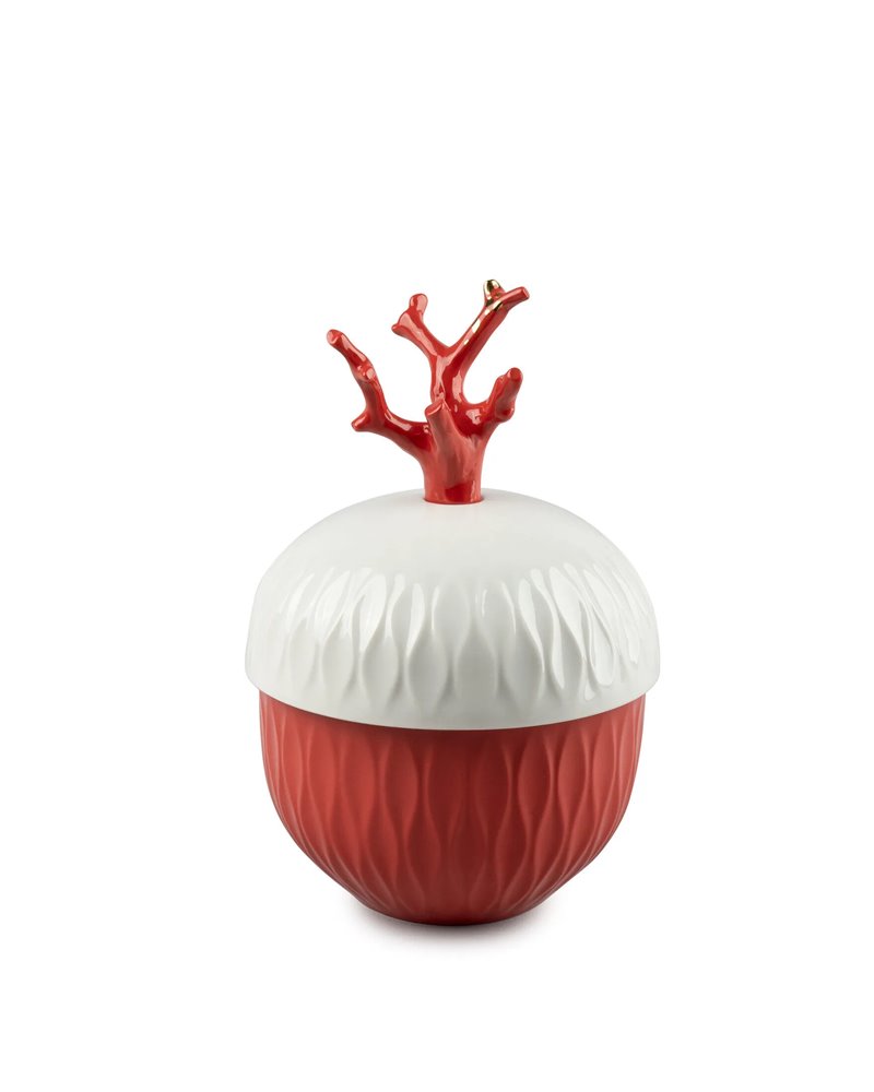 Vela Coral Vela Coral