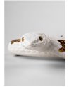 Serpiente (blanco - cobre)