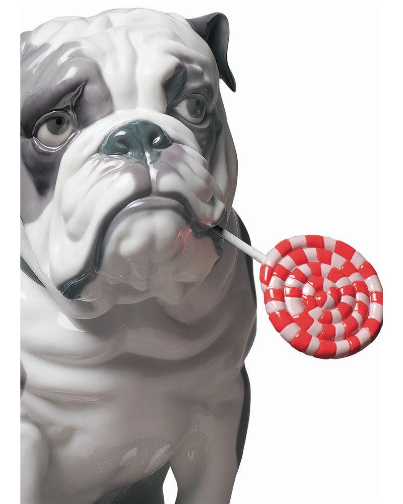 Bulldog con piruleta