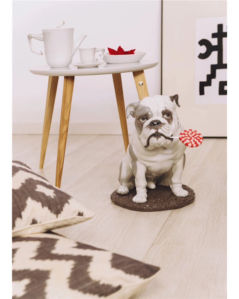 Bulldog con piruleta