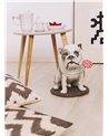Bulldog con piruleta