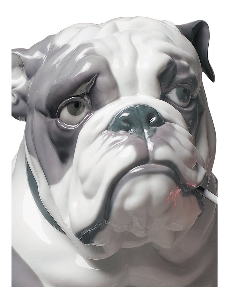 Bulldog con piruleta