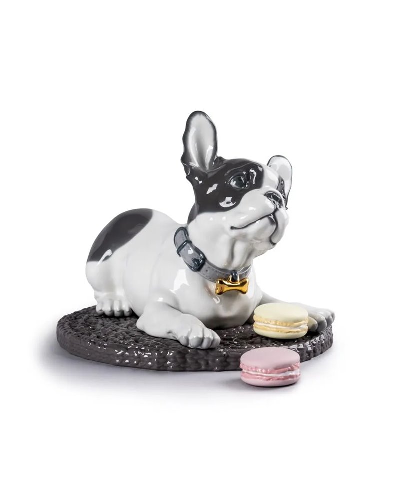 Bulldog francés con macarons Bulldog francés con macarons