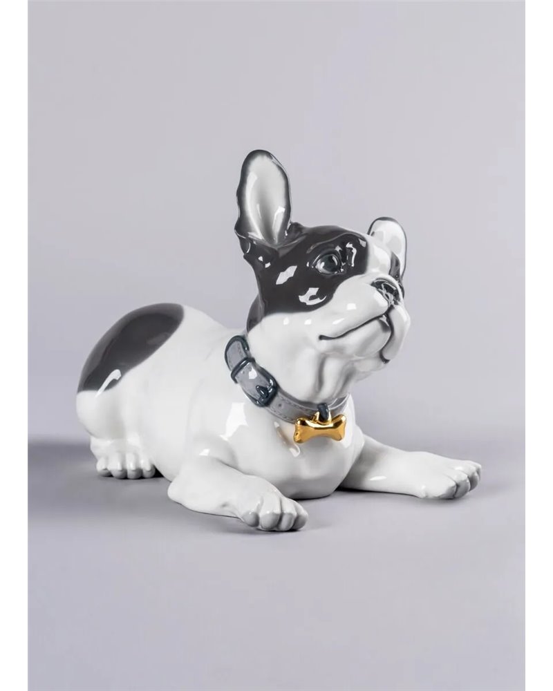 Bulldog francés con macarons