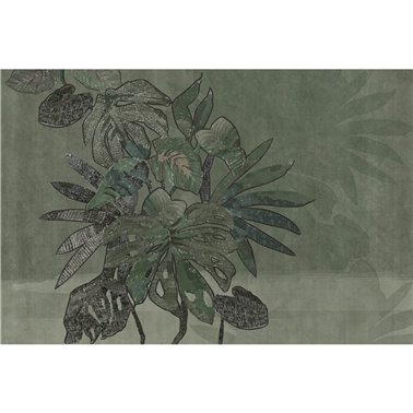 Ephrussi GLXIII791A