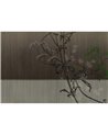 Morea GLXIII642A