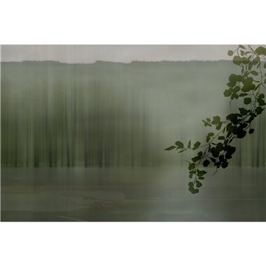 Amazzonia GLXIV231A