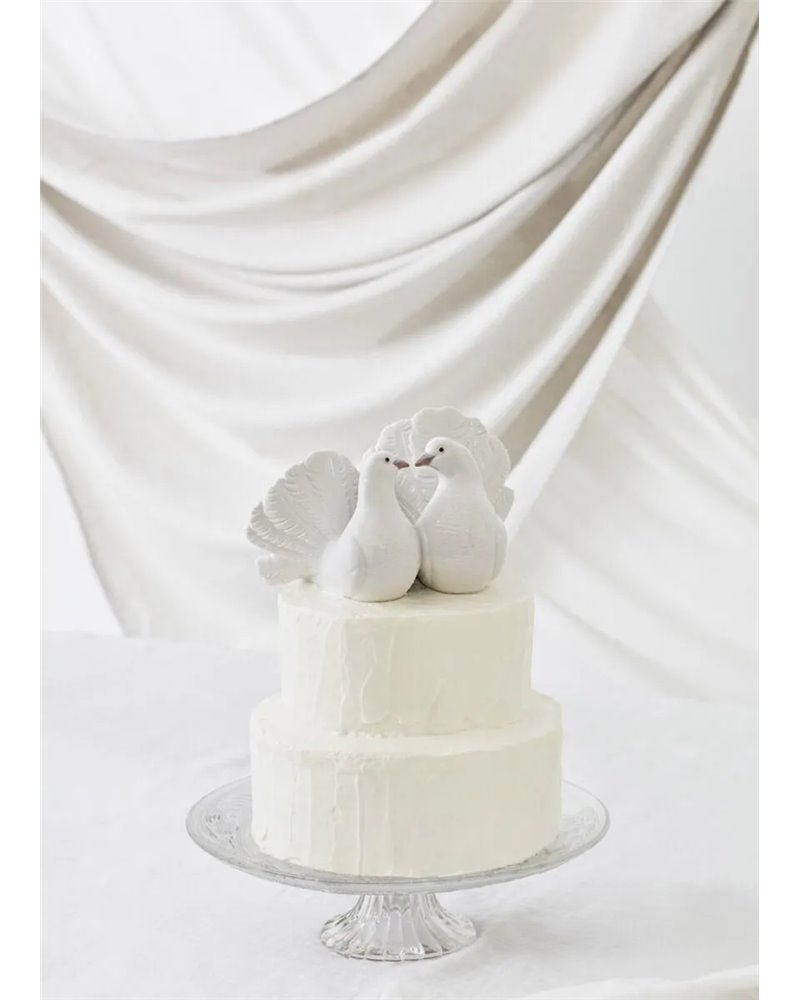 Pareja de palomas