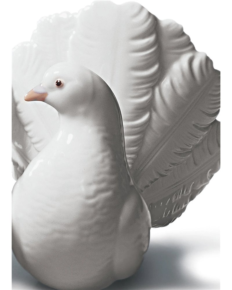 Pareja de palomas