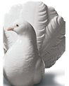 Pareja de palomas