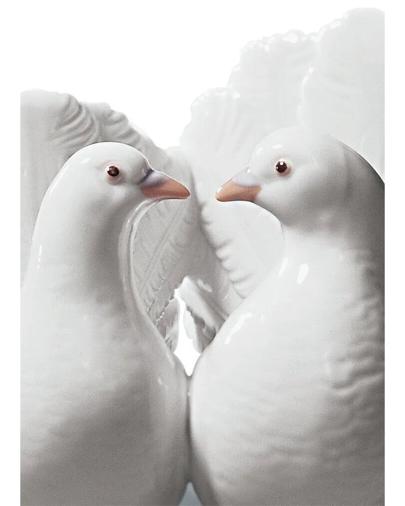Pareja de palomas