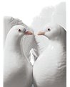 Pareja de palomas