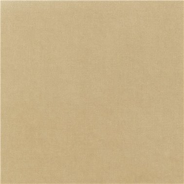 Palatine Timidite Assumee LB-711-70