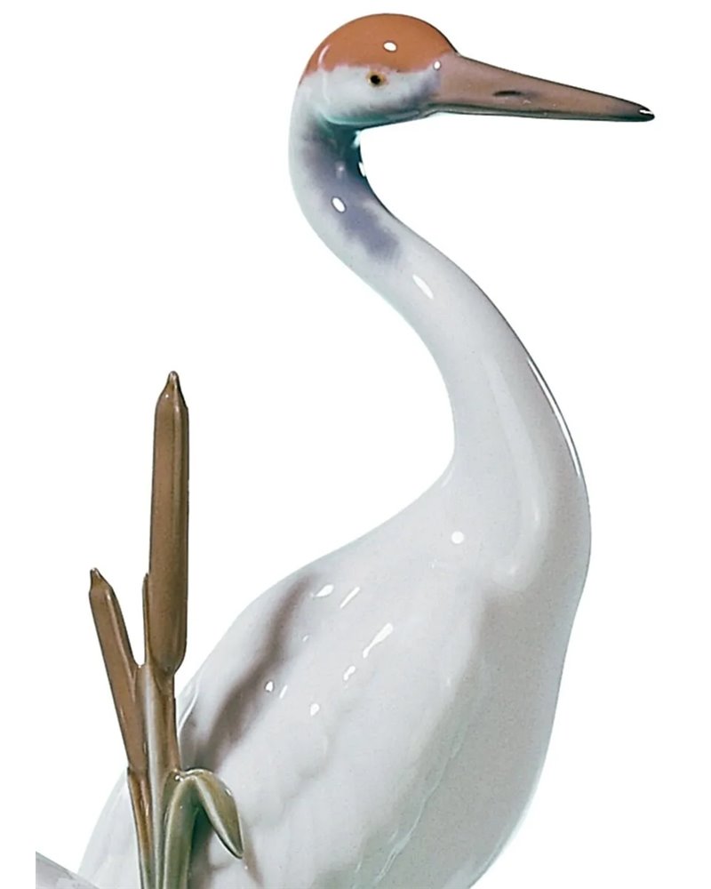 Pareja de grullas airosas