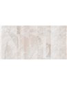 FOGLIE LUMINOSE INKBOCI2401