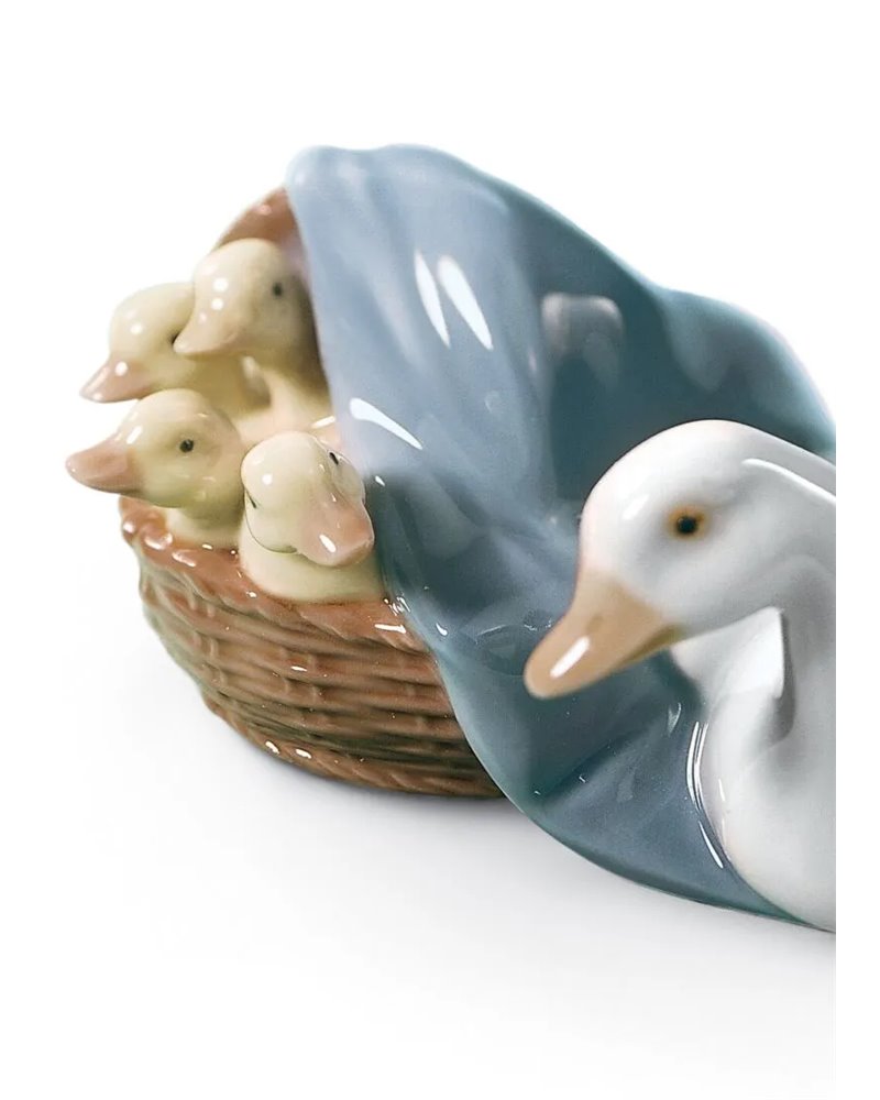 Cría de patos
