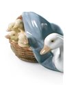 Cría de patos