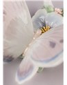 Mariposa de abril