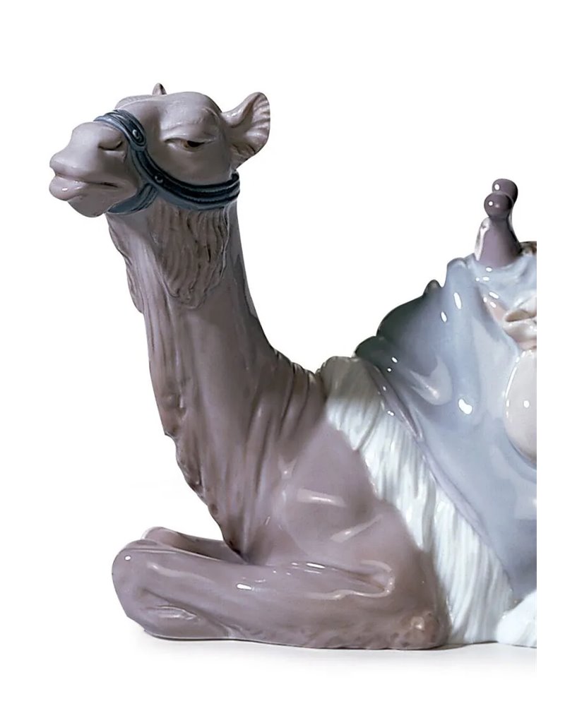 El camello
