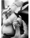 Ganesha con veena