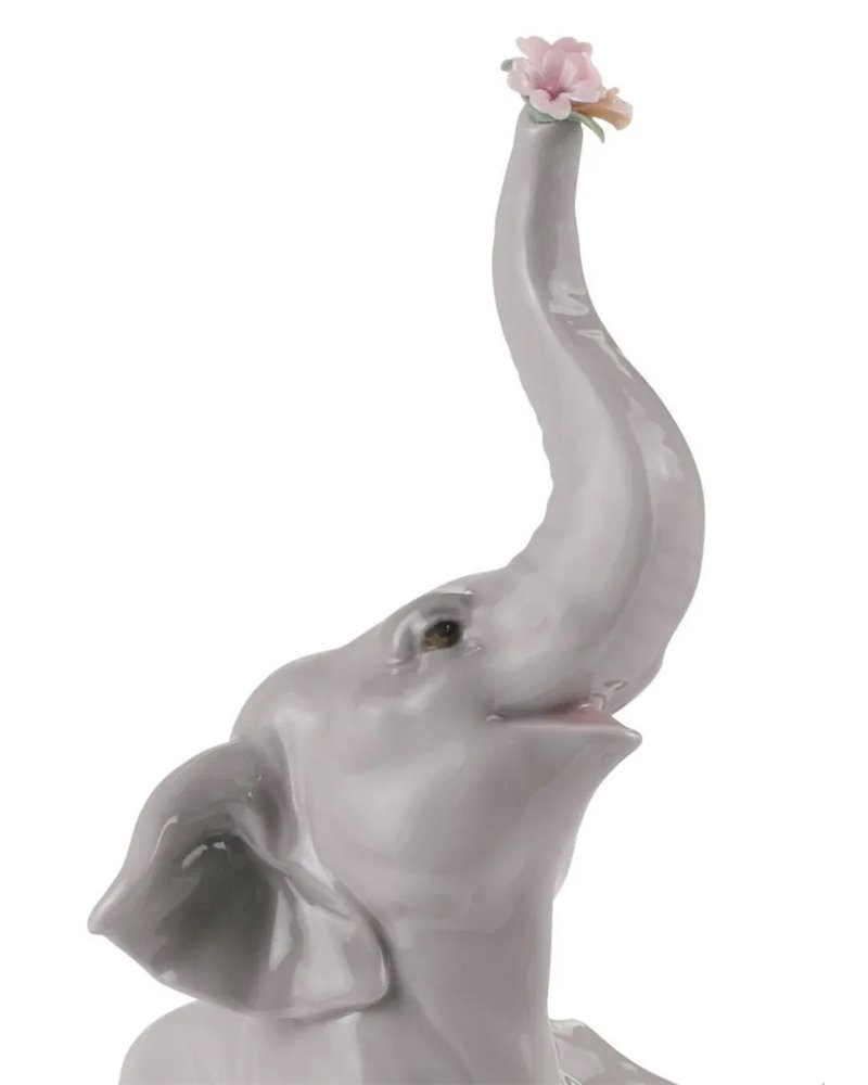 Elefante bebé con flor rosa
