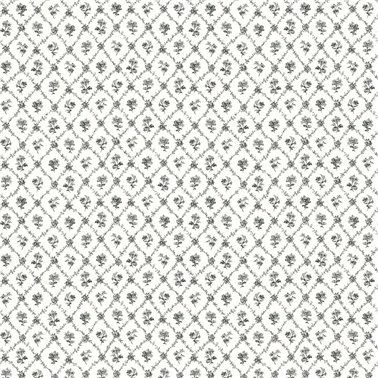 Cossette Licorice VI80400