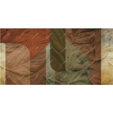 SHAPES INKONAM2401