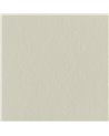Bird Vine Matelasse Vellum FRL5295-01
