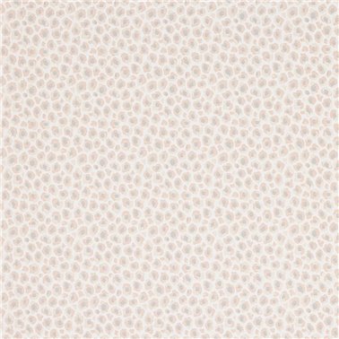 Cleo Pink J197W-02