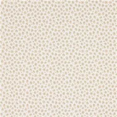 Cleo Taupe J197W-01