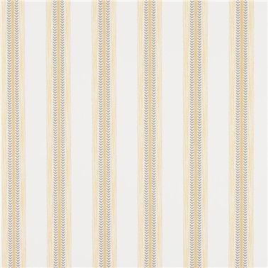 Camber Stripe Yellow J199W-02