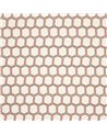 Albus Multi J0272-04