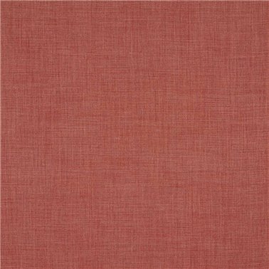 Flynn Tomato F4890-34