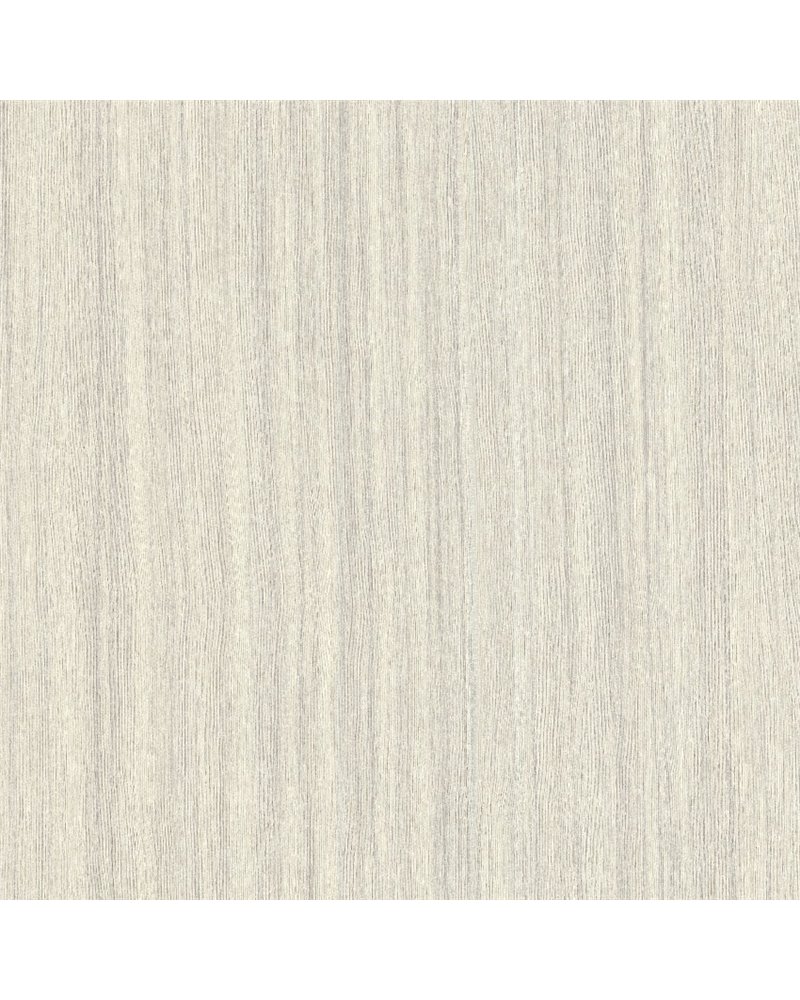 Alburno 25711