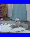 ALFOMBRA REF.-608555