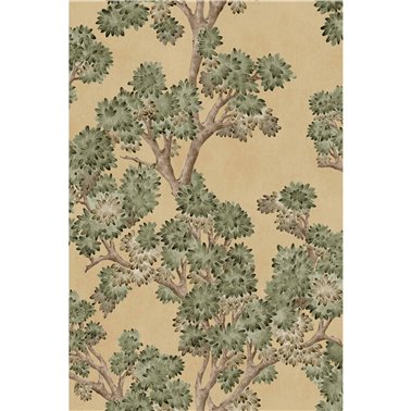 Field-Maple Sunny YSP0503