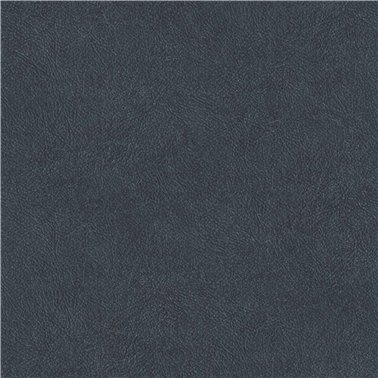 Cuero 27 B00765