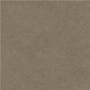 Cuero 24 B00768