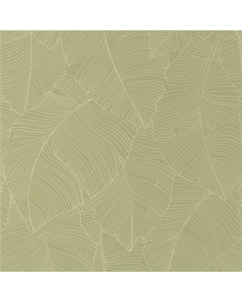 Vegetalia Kaki 106507170 Vegetalia Kaki 106507170
