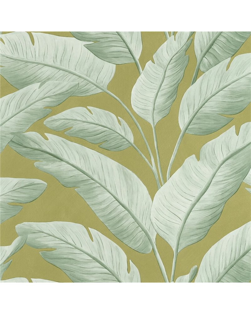 Tropicalia Kaki 106547122 Tropicalia Kaki 106547122
