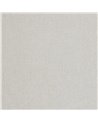 Uni Metallise Irise Gris Argente 103239222