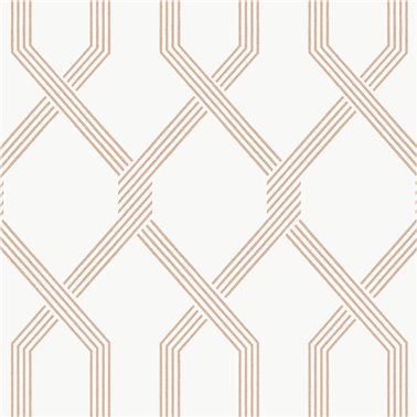 Palisade Coral GT4554