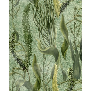 Aquatic plants Green WP20717