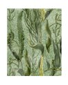 Aquatic plants Green WP20717