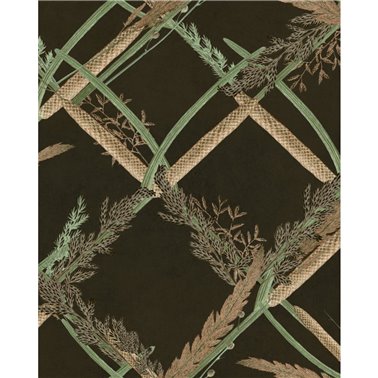 Ornamental reed Anthracite WP30163