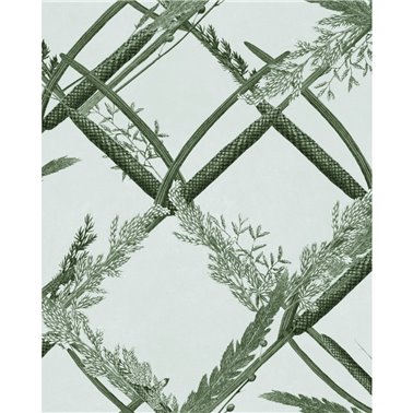 Ornamental reed Green WP30162