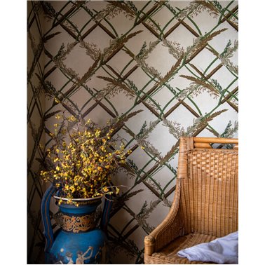 Ornamental reed Green WP30162