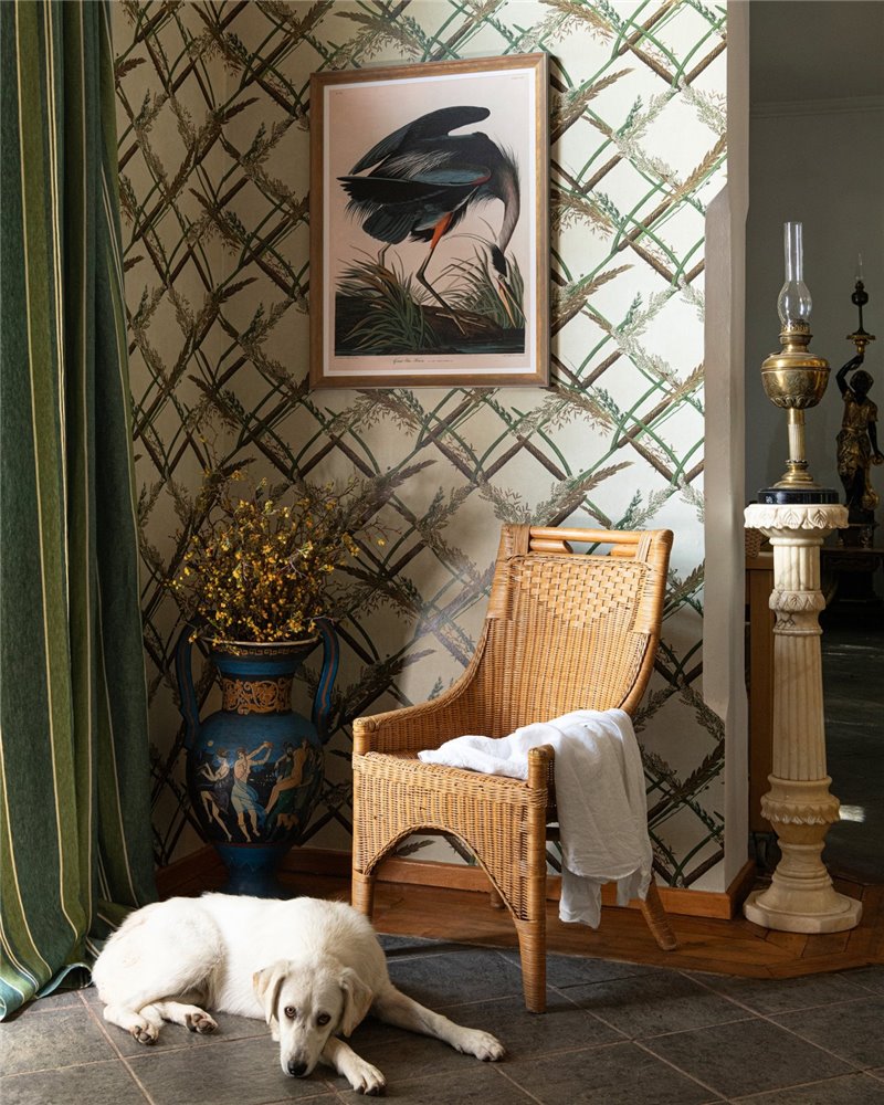 Ornamental reed Taupe WP30161