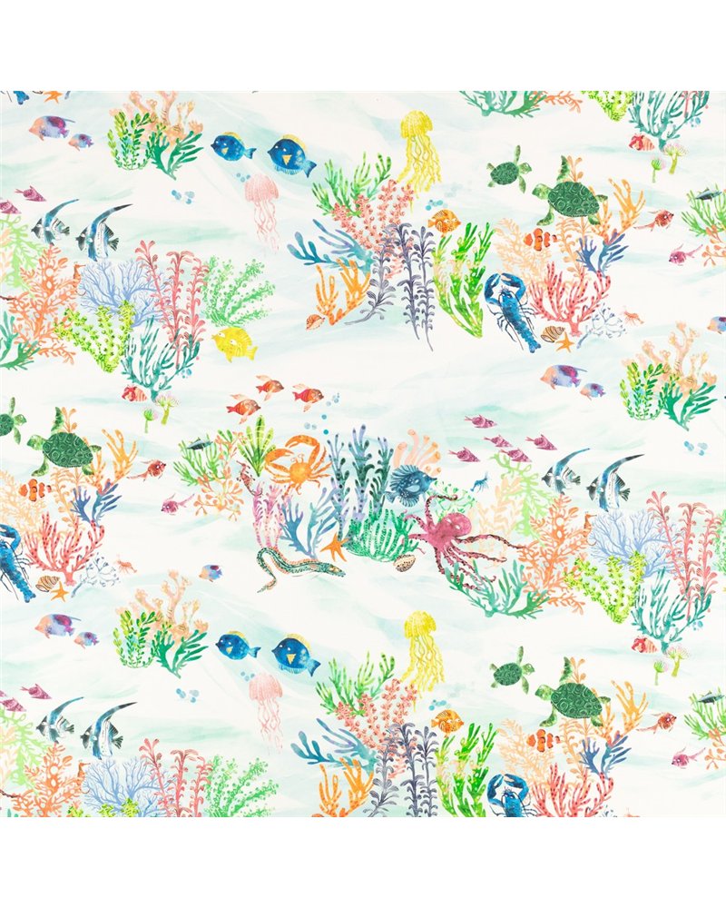 Coral Kingdom V360101 Coral Kingdom V360101