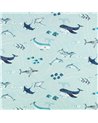Fintastic V360201